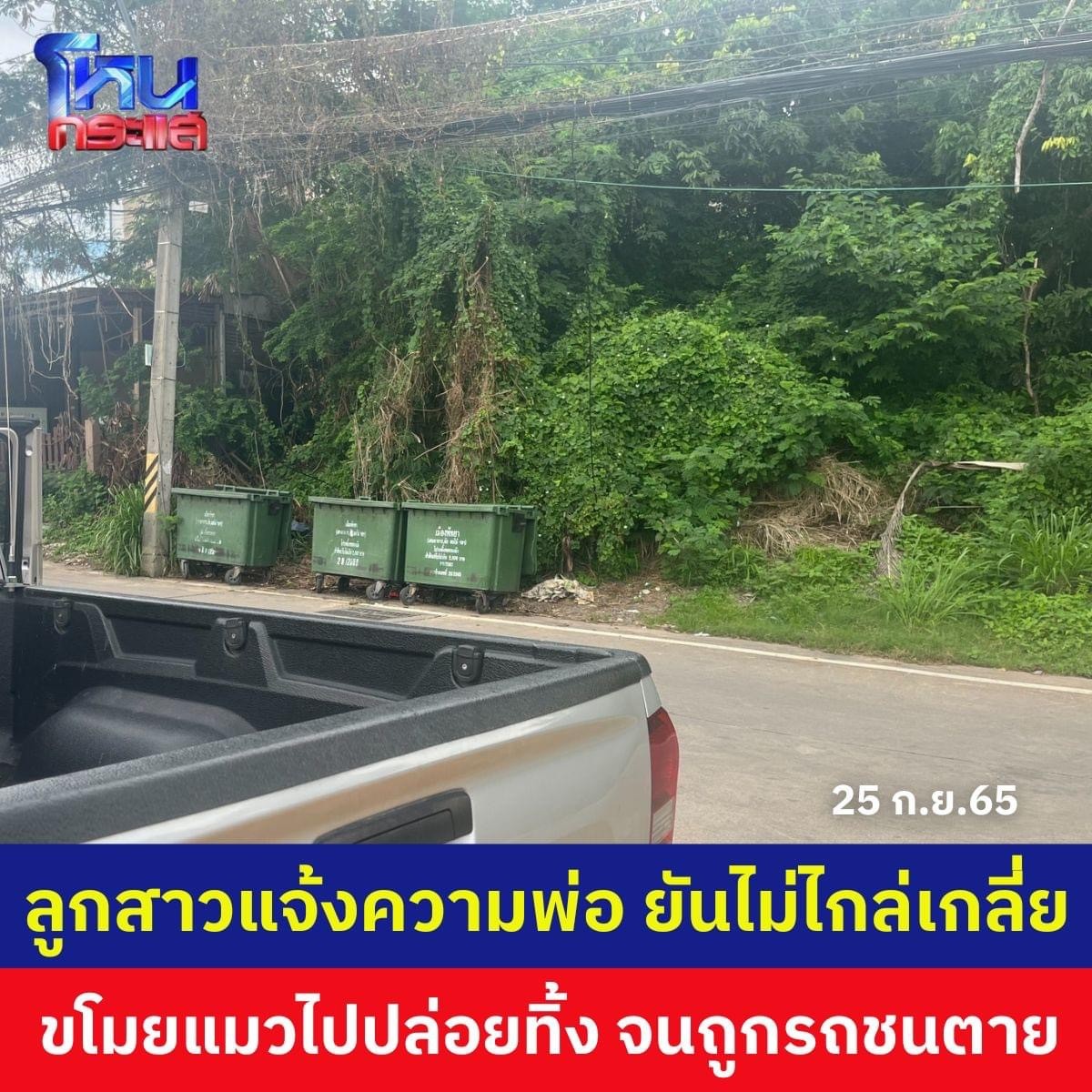 ลูกสาวแจ้งความพ่อ ขโมยแมวไปปล่อยทิ้งจนถูกรถชนตาย